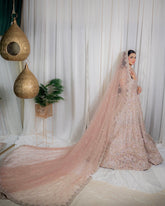 Dream Tail Dupatta Maxcy
