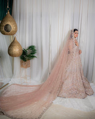 Dream Tail Dupatta Maxcy
