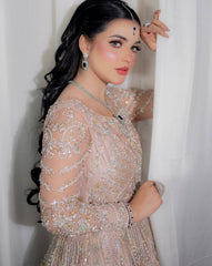 Dream Tail Dupatta Maxcy