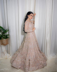 Dream Tail Dupatta Maxcy